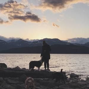 Meet your Posher, Shelby